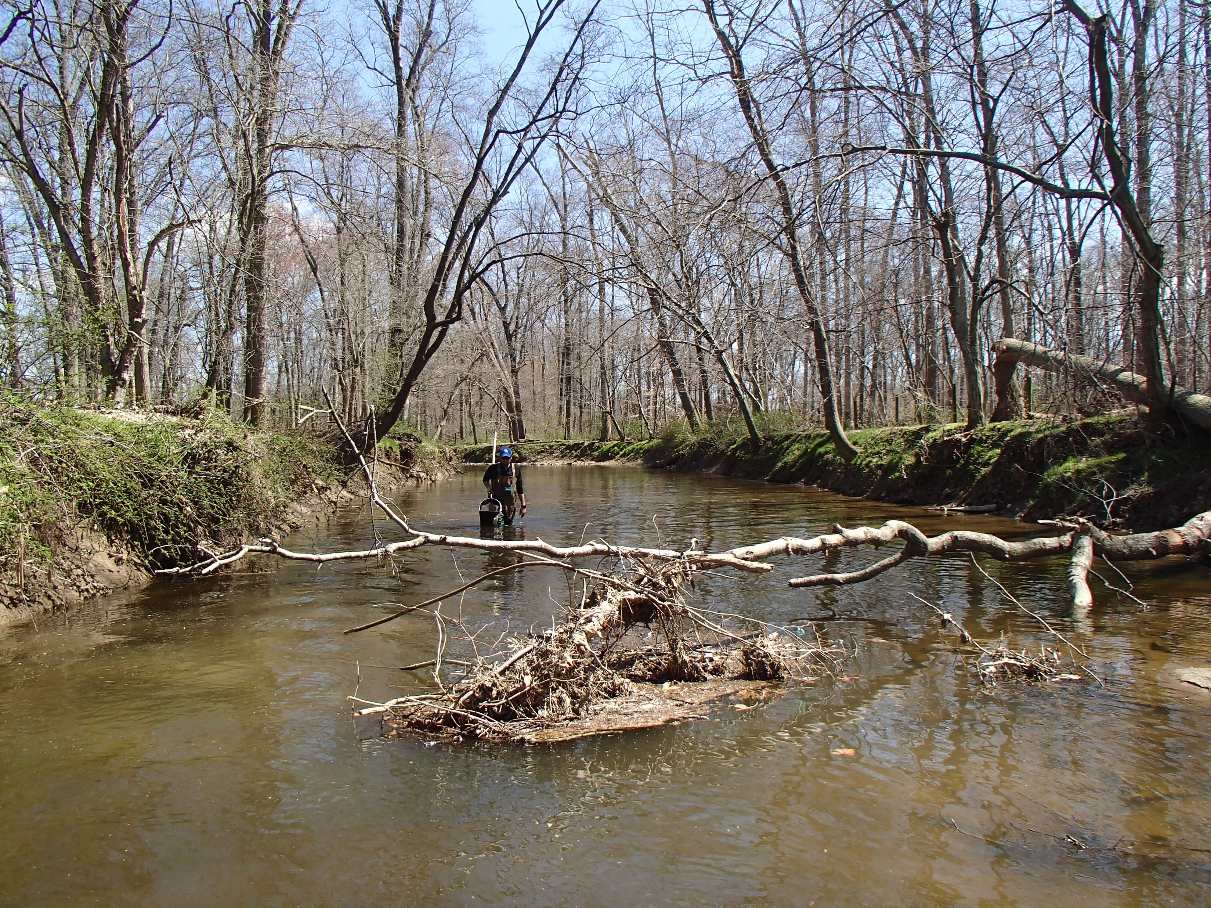 Field photo showing stream conditions at site NEAS-205-R-2016_midpoint looking downstream